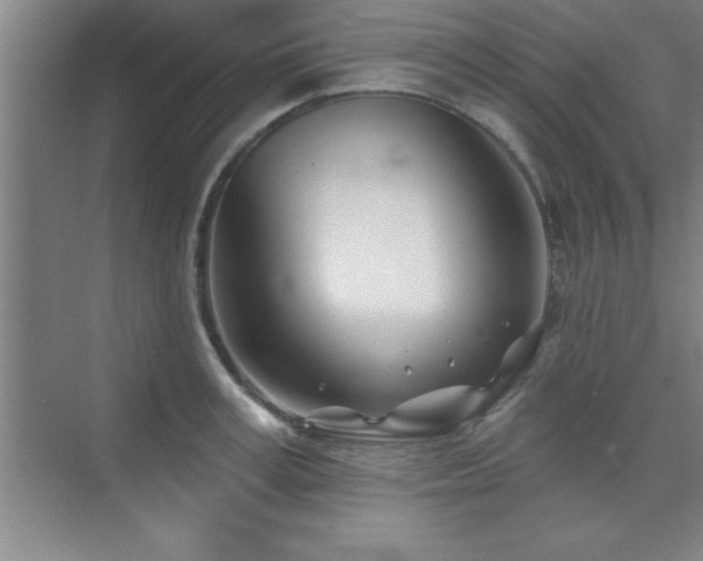 X0000073830995200608101159