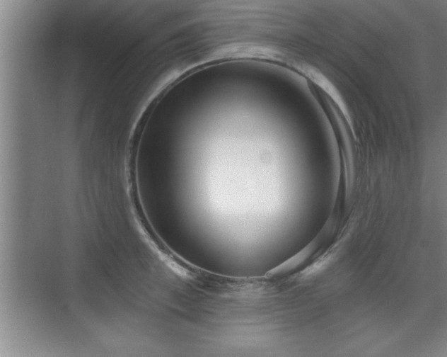 X0000073830997200608101158