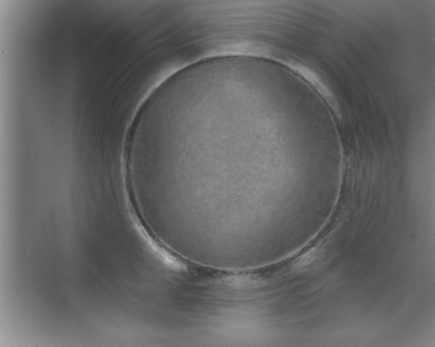 X0000073830998200608101158