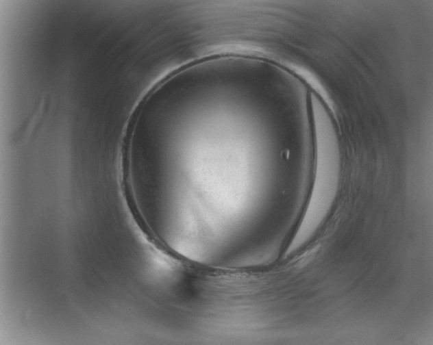 X0000073830999200608101158