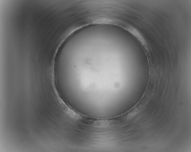 X0000073831000200608101158