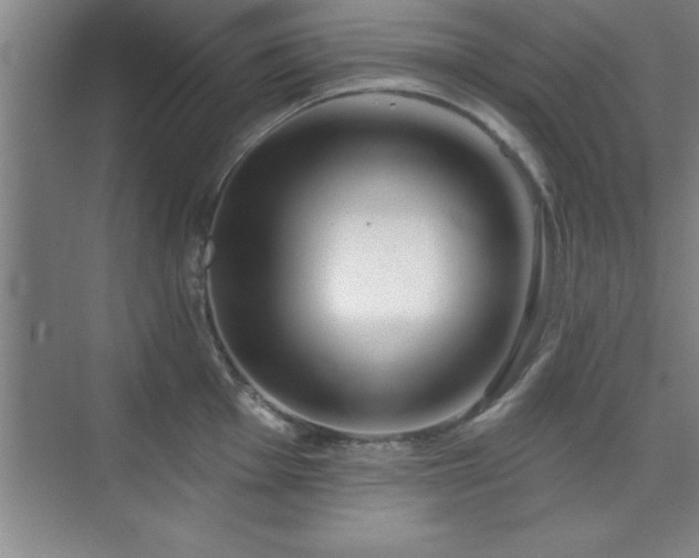 X0000073831001200608101158