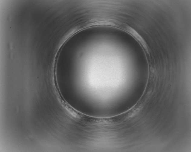 X0000073831002200608101158