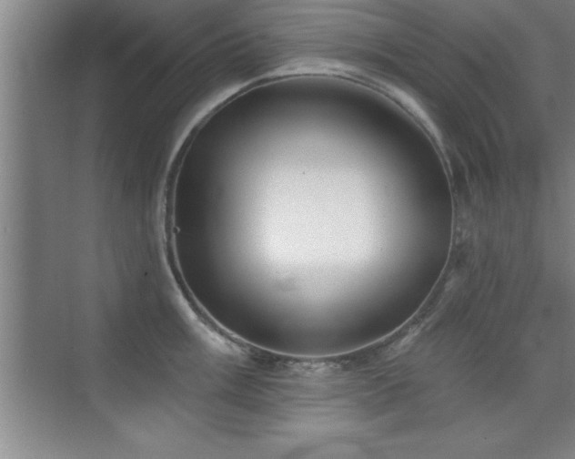 X0000073831003200608101158