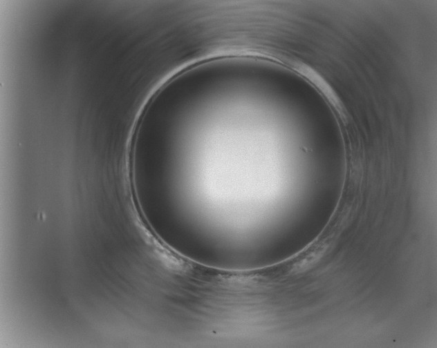 X0000073831004200608101158