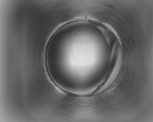 X0000073831005200608101158