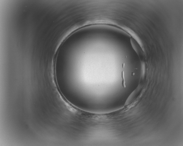 X0000073831006200608101158