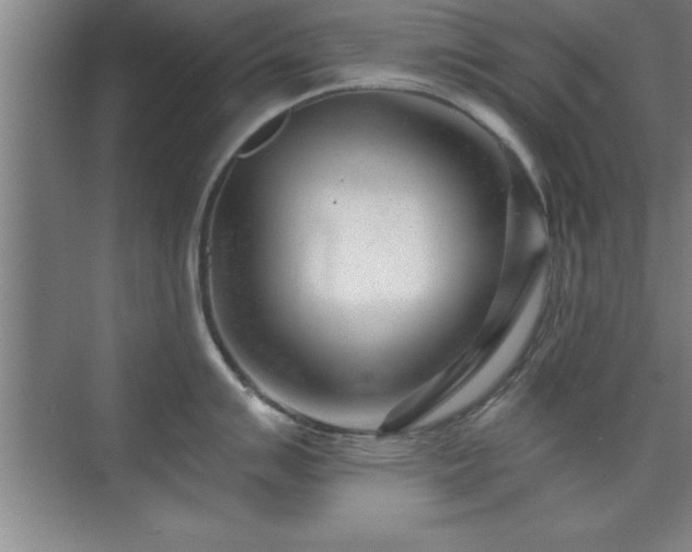 X0000073831007200608101158