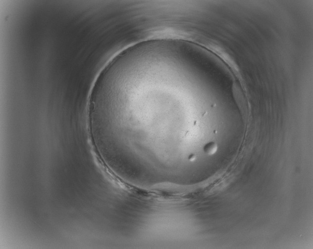 X0000073831008200608101158