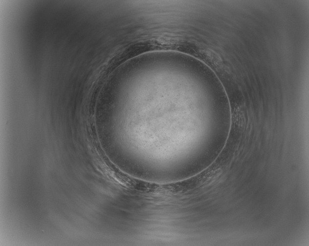 X0000073831009200608101158