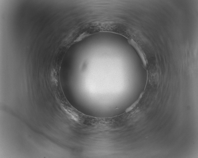 X0000073831010200608101158