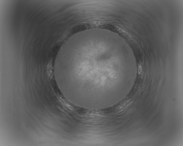 X0000073831011200608101158