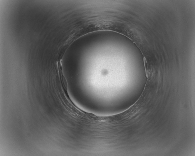 X0000073831012200608101158