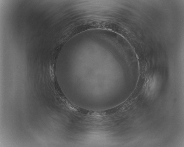 X0000073831013200608101158