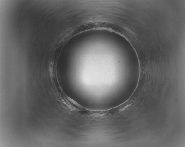 X0000073831014200608101158