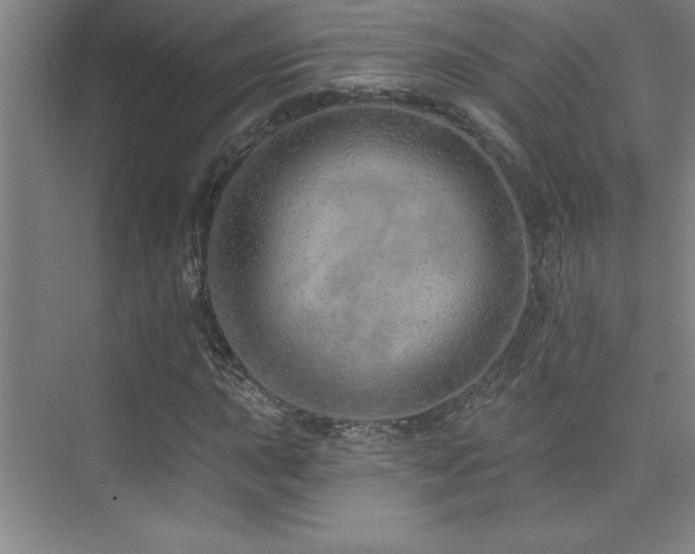 X0000073831015200608101158