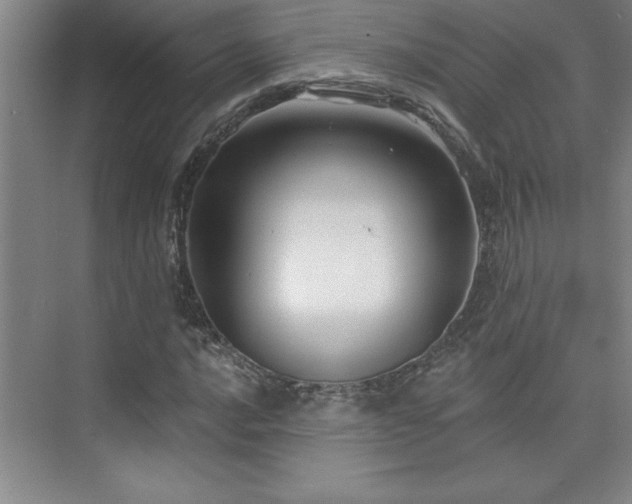 X0000073831016200608101158