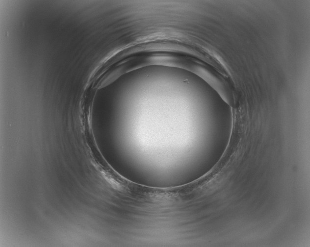 X0000073831018200608101158