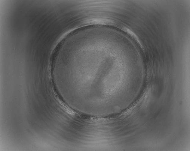 X0000073831019200608101158