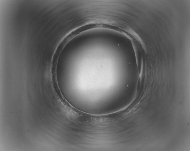 X0000073831020200608101158