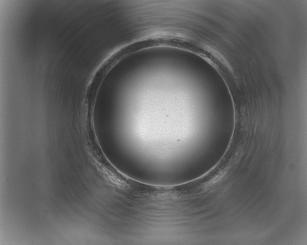 X0000073831021200608101158