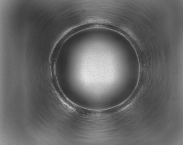 X0000073831022200608101158