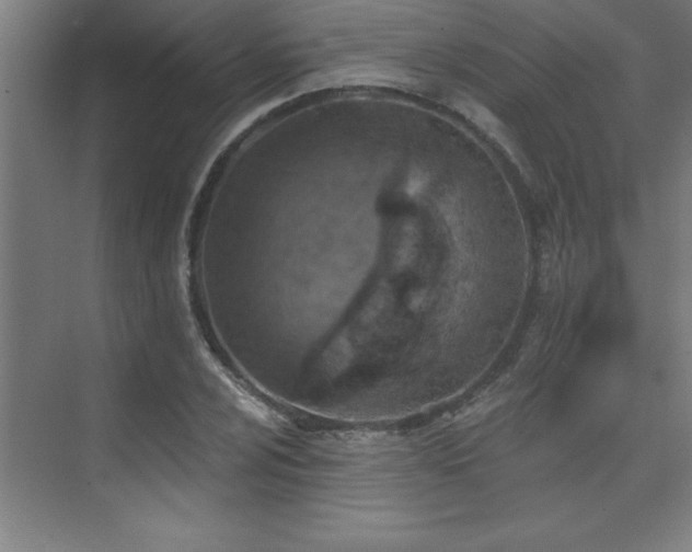 X0000073831024200608101158