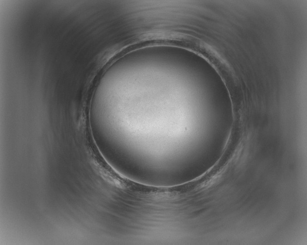 X0000073831025200608101158