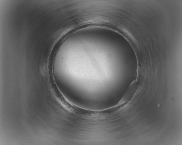 X0000073831026200608101158