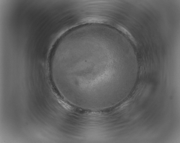 X0000073831027200608101158