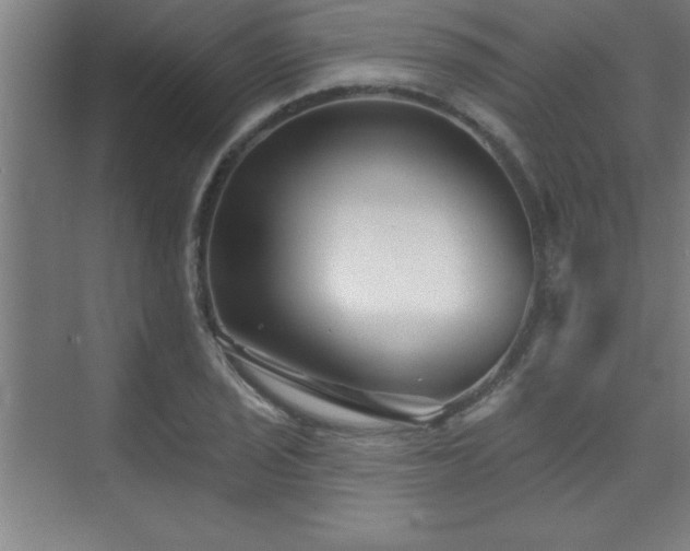 X0000073831029200608101158