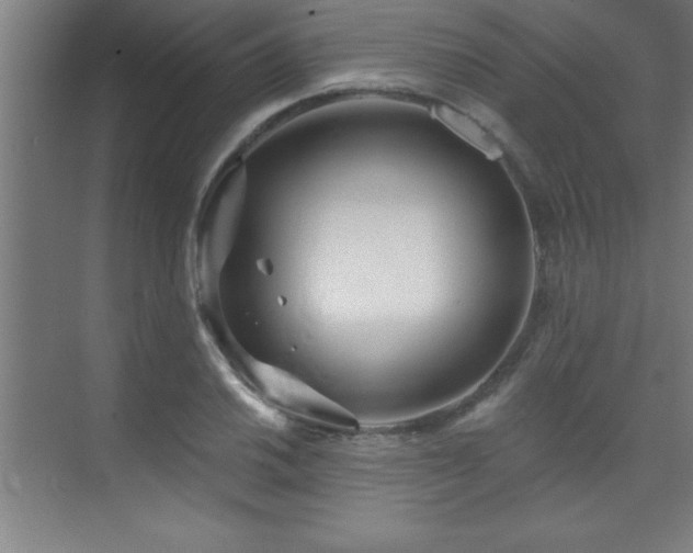 X0000073831030200608101158