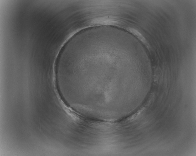 X0000073831031200608101158