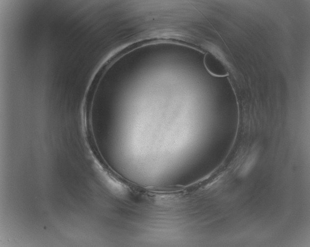 X0000073831032200608101158