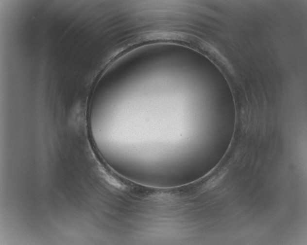 X0000073831033200608101158