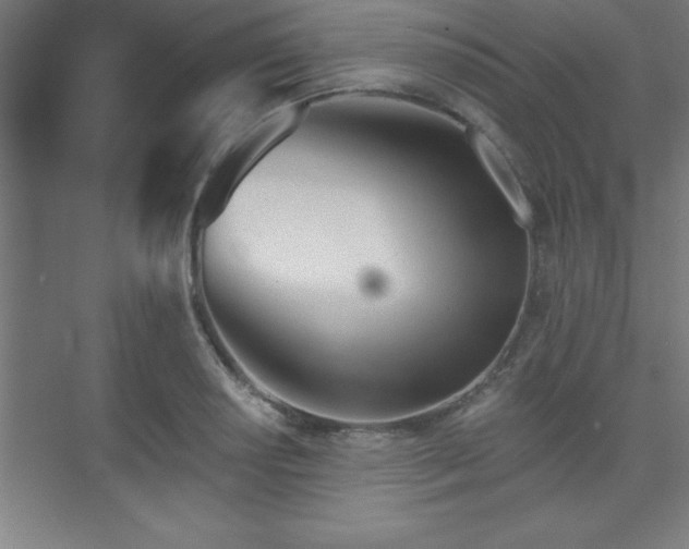 X0000073831034200608101158