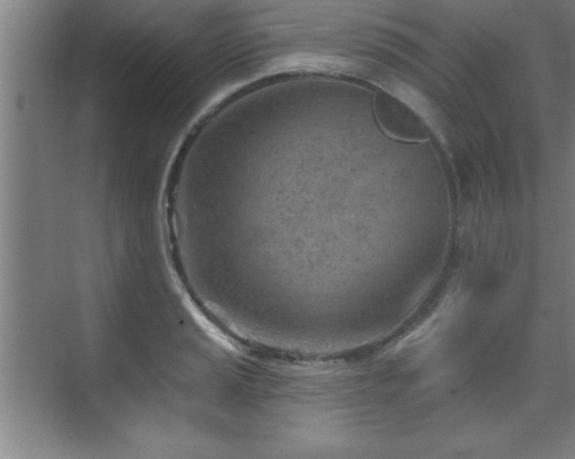 X0000073831037200608101158