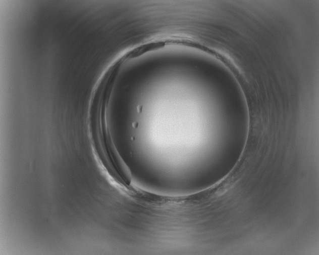 X0000073831038200608101158