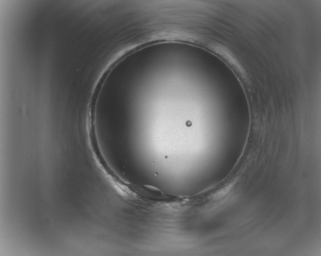 X0000073831040200608101158