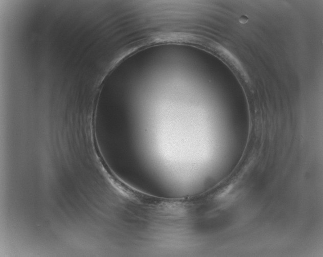 X0000073831041200608101158