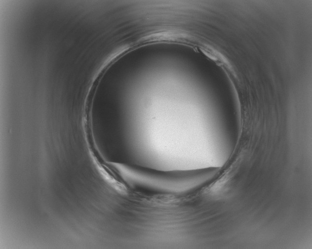 X0000073831042200608101158