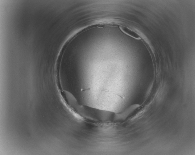 X0000073831045200608101158