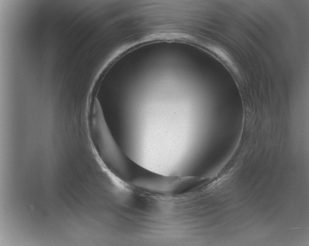 X0000073831046200608101158