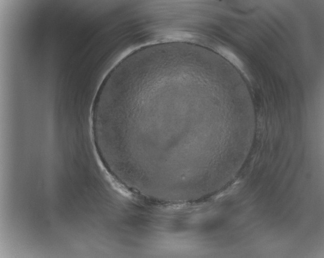 X0000073831047200608101158