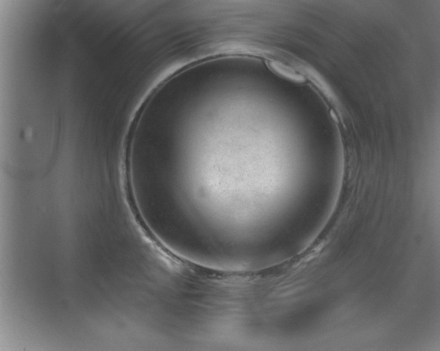 X0000073831048200608101158