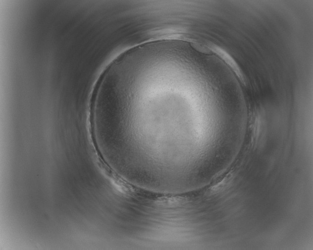 X0000073831051200608101158