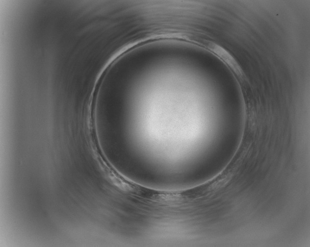 X0000073831052200608101158