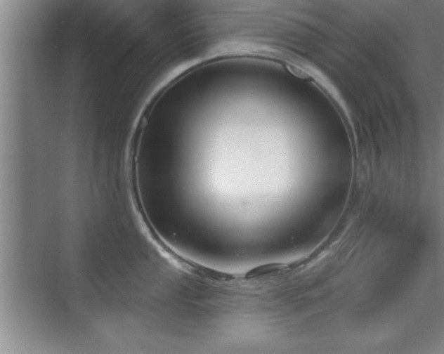 X0000073831053200608101158