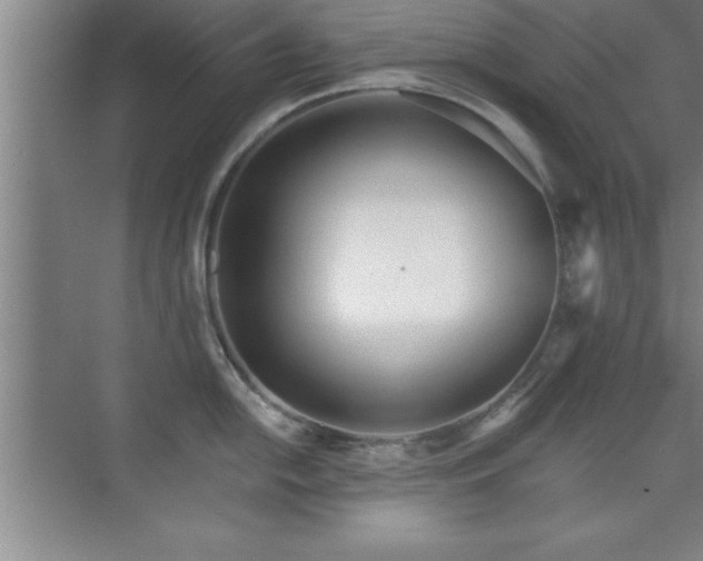 X0000073831054200608101158