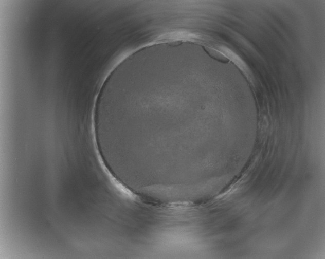 X0000073831055200608101158